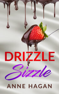 Drizzle Sizzle Cover